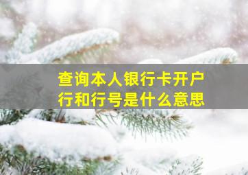 查询本人银行卡开户行和行号是什么意思