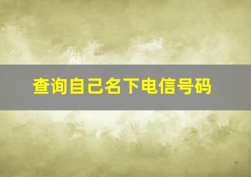 查询自己名下电信号码