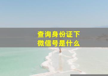 查询身份证下微信号是什么