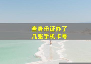 查身份证办了几张手机卡号