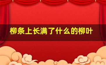 柳条上长满了什么的柳叶