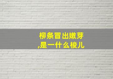 柳条冒出嫩芽,是一什么梭儿