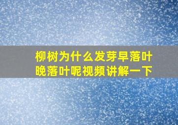 柳树为什么发芽早落叶晚落叶呢视频讲解一下