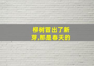 柳树冒出了新芽,那是春天的