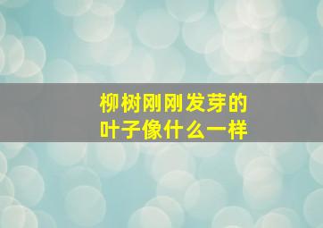 柳树刚刚发芽的叶子像什么一样