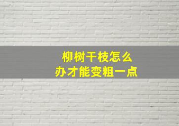 柳树干枝怎么办才能变粗一点