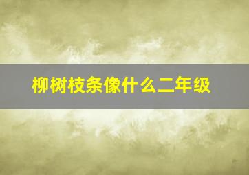 柳树枝条像什么二年级