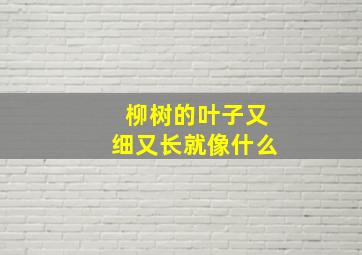 柳树的叶子又细又长就像什么