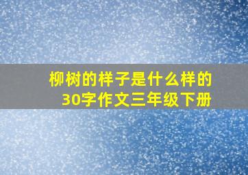 柳树的样子是什么样的30字作文三年级下册