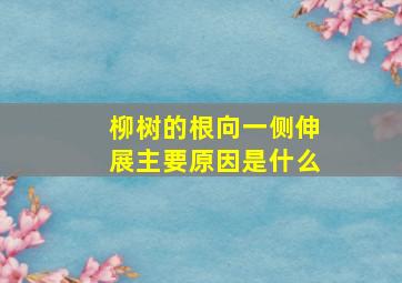 柳树的根向一侧伸展主要原因是什么