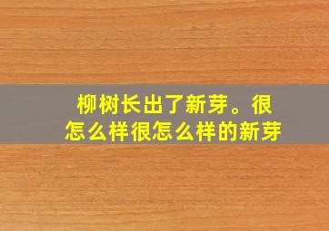 柳树长出了新芽。很怎么样很怎么样的新芽