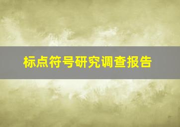 标点符号研究调查报告