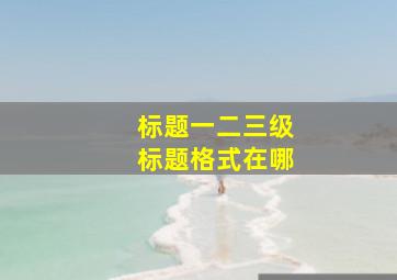 标题一二三级标题格式在哪