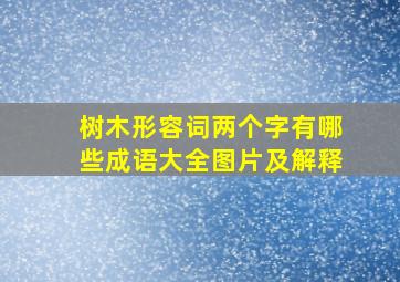 树木形容词两个字有哪些成语大全图片及解释