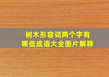 树木形容词两个字有哪些成语大全图片解释