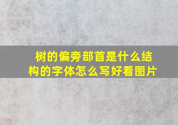 树的偏旁部首是什么结构的字体怎么写好看图片