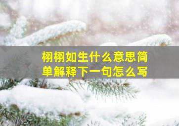 栩栩如生什么意思简单解释下一句怎么写