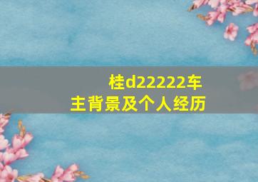 桂d22222车主背景及个人经历