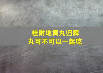 桂附地黄丸归脾丸可不可以一起吃