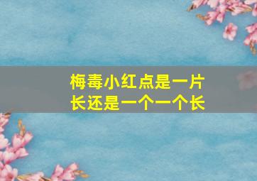 梅毒小红点是一片长还是一个一个长