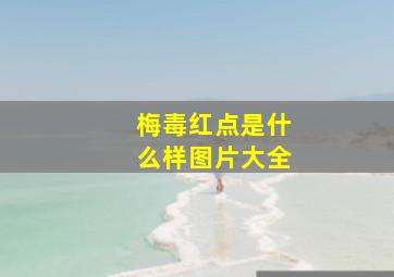 梅毒红点是什么样图片大全