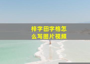 梓字田字格怎么写图片视频