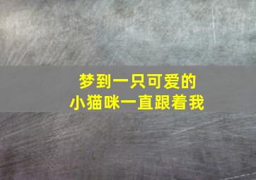 梦到一只可爱的小猫咪一直跟着我