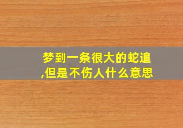 梦到一条很大的蛇追,但是不伤人什么意思