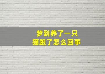 梦到养了一只猫跑了怎么回事