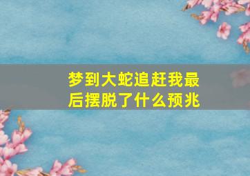 梦到大蛇追赶我最后摆脱了什么预兆