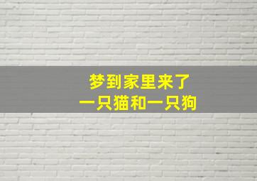 梦到家里来了一只猫和一只狗