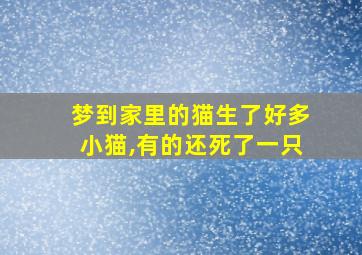 梦到家里的猫生了好多小猫,有的还死了一只