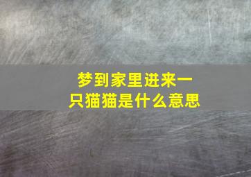 梦到家里进来一只猫猫是什么意思