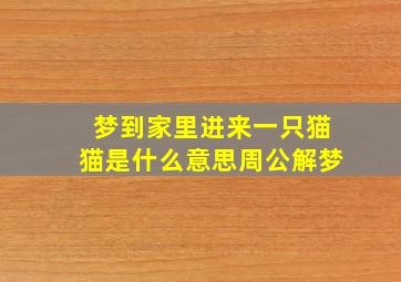 梦到家里进来一只猫猫是什么意思周公解梦