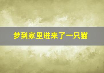 梦到家里进来了一只猫