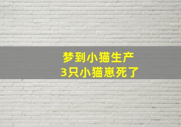 梦到小猫生产3只小猫崽死了