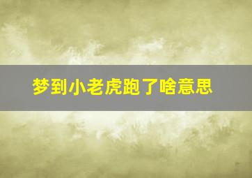 梦到小老虎跑了啥意思