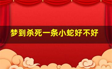 梦到杀死一条小蛇好不好