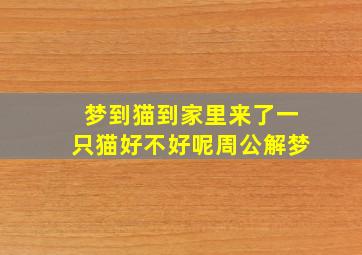 梦到猫到家里来了一只猫好不好呢周公解梦