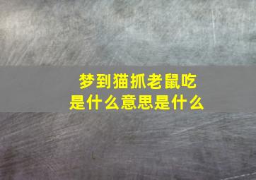 梦到猫抓老鼠吃是什么意思是什么