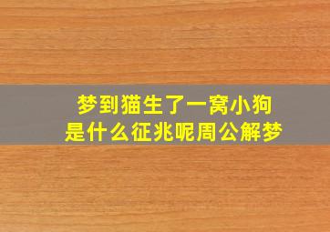 梦到猫生了一窝小狗是什么征兆呢周公解梦