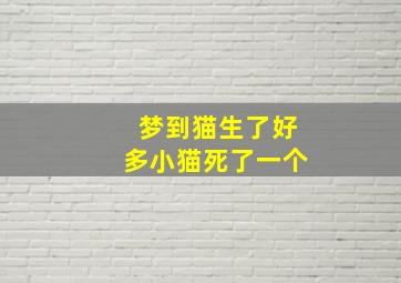 梦到猫生了好多小猫死了一个