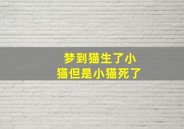 梦到猫生了小猫但是小猫死了