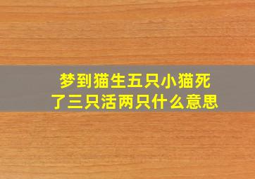 梦到猫生五只小猫死了三只活两只什么意思