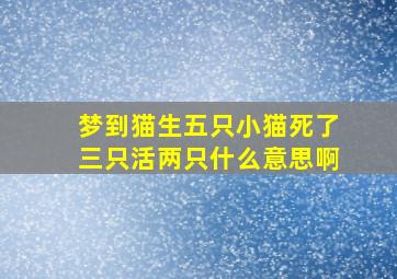 梦到猫生五只小猫死了三只活两只什么意思啊