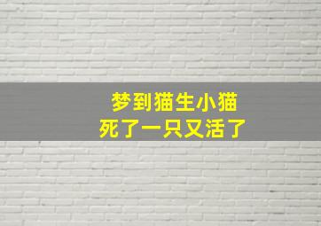 梦到猫生小猫死了一只又活了