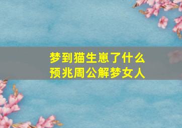 梦到猫生崽了什么预兆周公解梦女人