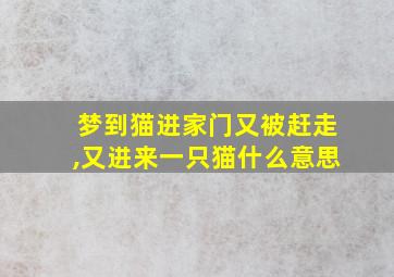 梦到猫进家门又被赶走,又进来一只猫什么意思