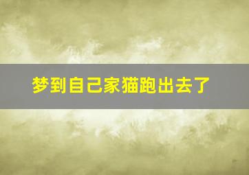 梦到自己家猫跑出去了