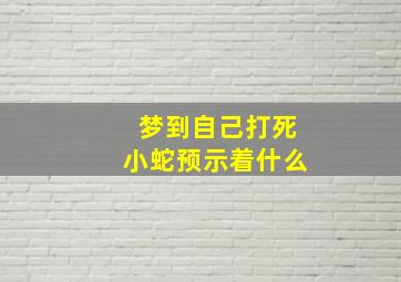 梦到自己打死小蛇预示着什么